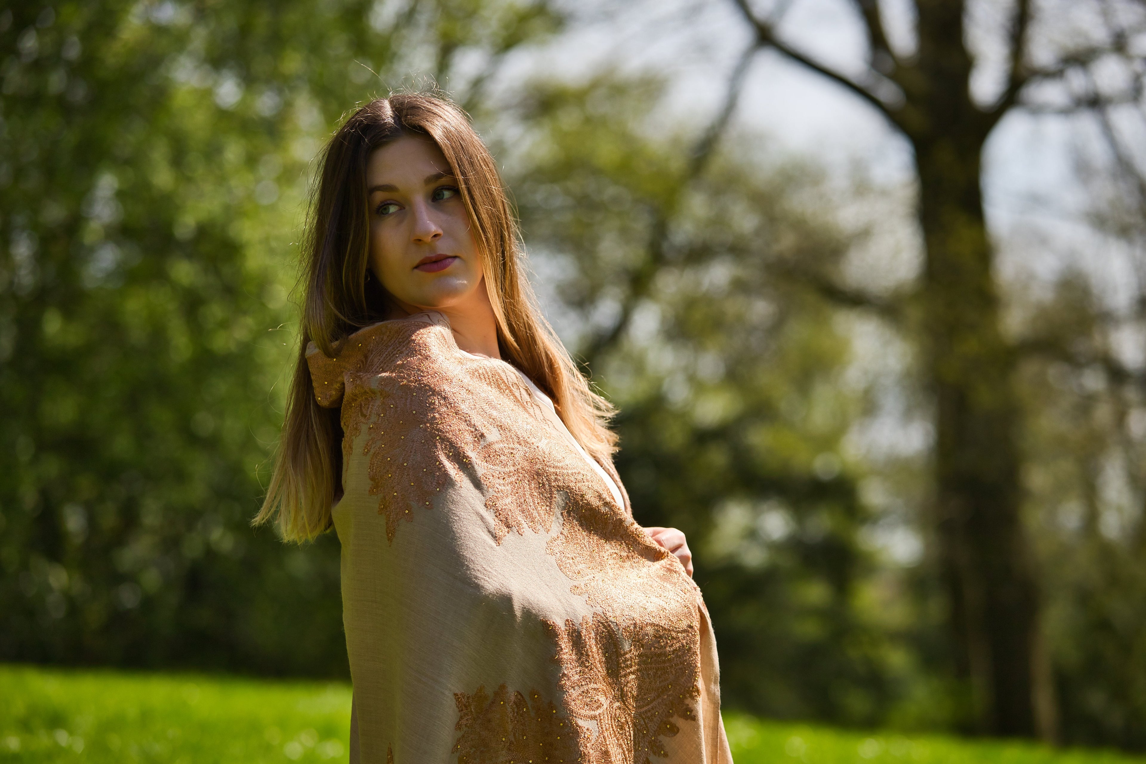 Silk Pashmina Shawls